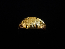Златен дамски пръстен, 1.93гр. ,Стара Загора
