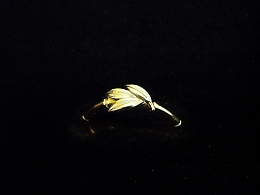 Златен дамски пръстен, 1.24гр. ,Карнобат